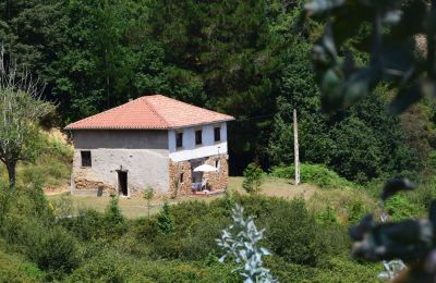 Country home for sale Niévares, Asturias, Image 30/39