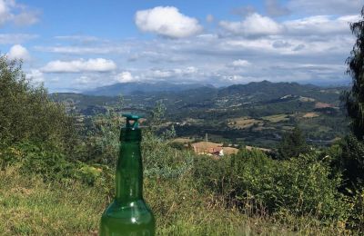 Country home for sale Niévares, Asturias, Image 32/39