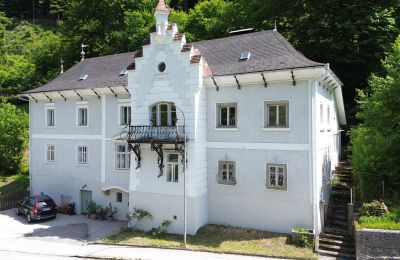 Historic Villa for sale Waidhofen an der Ybbs, Lower Austria, Image 4/40