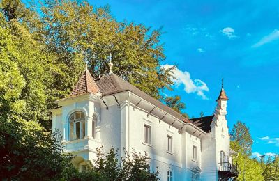 Historic Villa for sale Waidhofen an der Ybbs, Lower Austria, Image 2/40