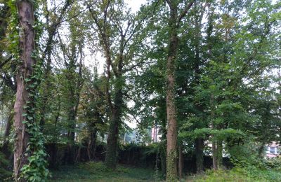 Historical park for sale Iłowa, Kolejowa 11, Lubusz, Image 11/17