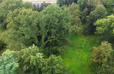 Historical park for sale Iłowa, Kolejowa 11, Lubusz, Image 14/17