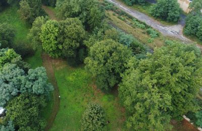 Historical park for sale Iłowa, Kolejowa 11, Lubusz, Image 16/17