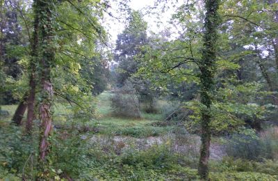 Historical park for sale Iłowa, Kolejowa 11, Lubusz, Image 6/17
