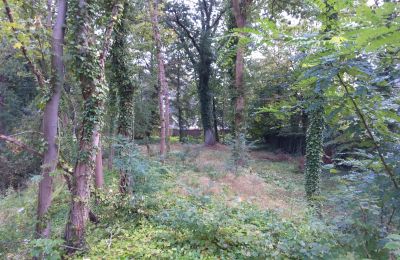 Historical park for sale Iłowa, Kolejowa 11, Lubusz, Image 9/17