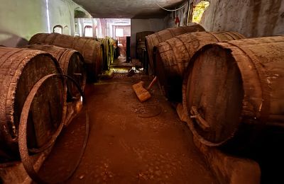 Urban palace for sale Ribera, Roma 37, Sicily, Wine cellar