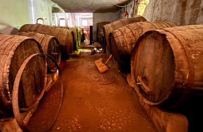 Urban palace for sale Ribera, Roma 37, Sicily, Wine cellar