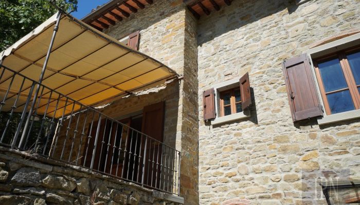  Cortona 3
