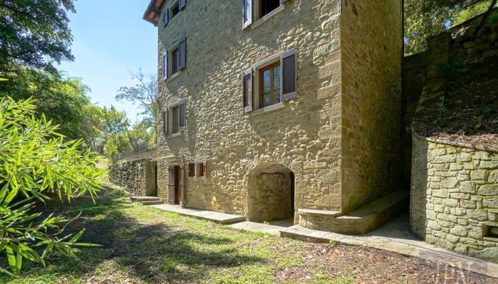  Cortona 1