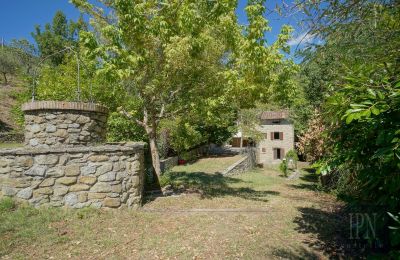Mill for sale Cortona, strada provinciale 34, Tuscany, Image 10/35