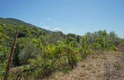 Mill for sale Cortona, strada provinciale 34, Tuscany, Image 12/35
