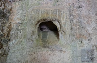 Mill for sale Cortona, strada provinciale 34, Tuscany, Image 15/35