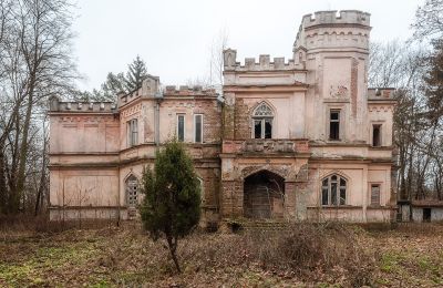 Castle for sale Cisie-Zagrudzie, Mazovia,, Image 1/4