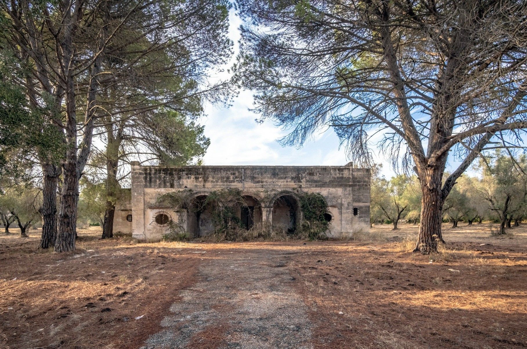 Photos Renovation project in Apulia: Rural house near Manduria