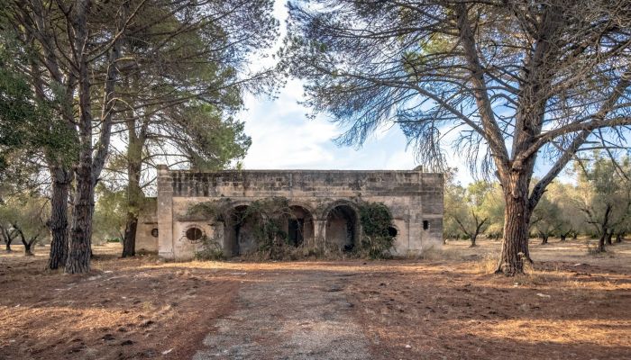 Renovation project in Apulia: Rural house near Manduria