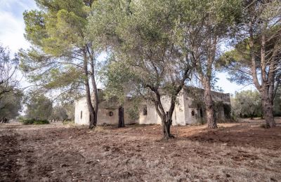 Country home for sale Manduria, Via per Lecce km 2, Apulia, Image 27/31