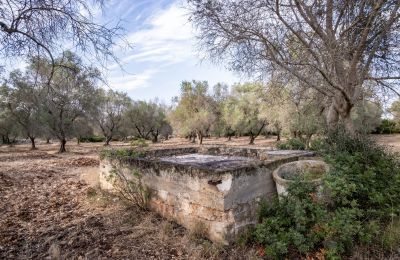 Country home for sale Manduria, Via per Lecce km 2, Apulia, Image 28/31