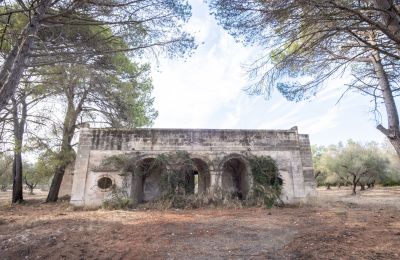 Country home for sale Manduria, Via per Lecce km 2, Apulia, Image 30/31