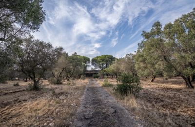 Country home for sale Manduria, Via per Lecce km 2, Apulia, Image 31/31