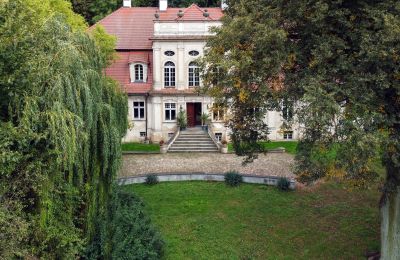 Manor House for sale Popowo Stare, Pałac w Popowie Starym, Greater Poland, Image 5/19