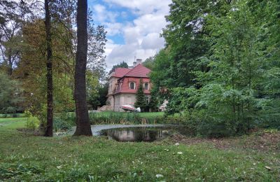 Manor House for sale Popowo Stare, Pałac w Popowie Starym, Greater Poland, Lake