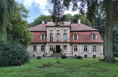Manor House for sale Popowo Stare, Pałac w Popowie Starym, Greater Poland, Image 4/19