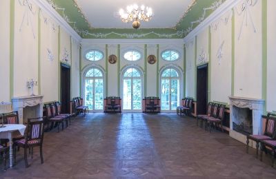 Manor House for sale Popowo Stare, Pałac w Popowie Starym, Greater Poland, Ballroom
