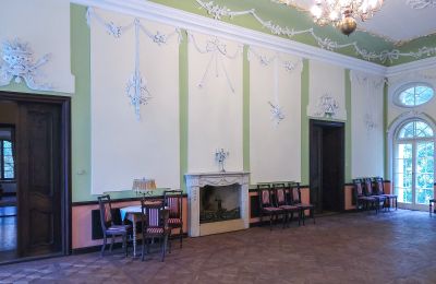 Manor House for sale Popowo Stare, Pałac w Popowie Starym, Greater Poland, Ballroom