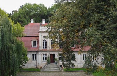 Manor House for sale Popowo Stare, Pałac w Popowie Starym, Greater Poland, Front view
