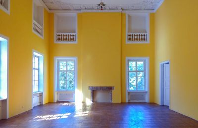 Castle for sale Siedlec, Pałac w Siedlcu, Greater Poland, Ballroom
