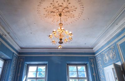 Castle for sale Siedlec, Pałac w Siedlcu, Greater Poland, Drawing room