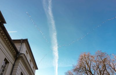 Castle for sale Siedlec, Pałac w Siedlcu, Greater Poland, Image 20/20