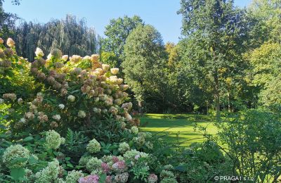Mill for sale Netvořice, okres Benešov, Image 16/21