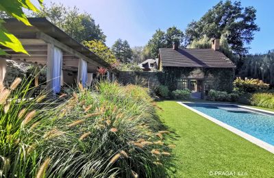Mill for sale Netvořice, okres Benešov, Image 3/21