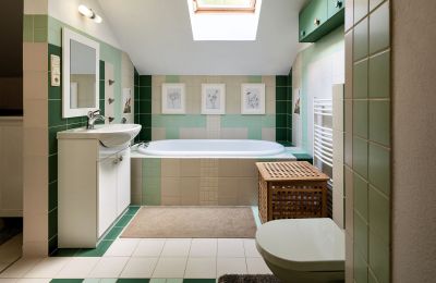 Mill for sale Netvořice, okres Benešov, Image 11/21