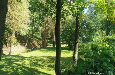 Mill for sale Netvořice, okres Benešov, Image 21/21