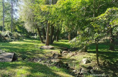 Mill for sale Netvořice, okres Benešov, Image 15/21