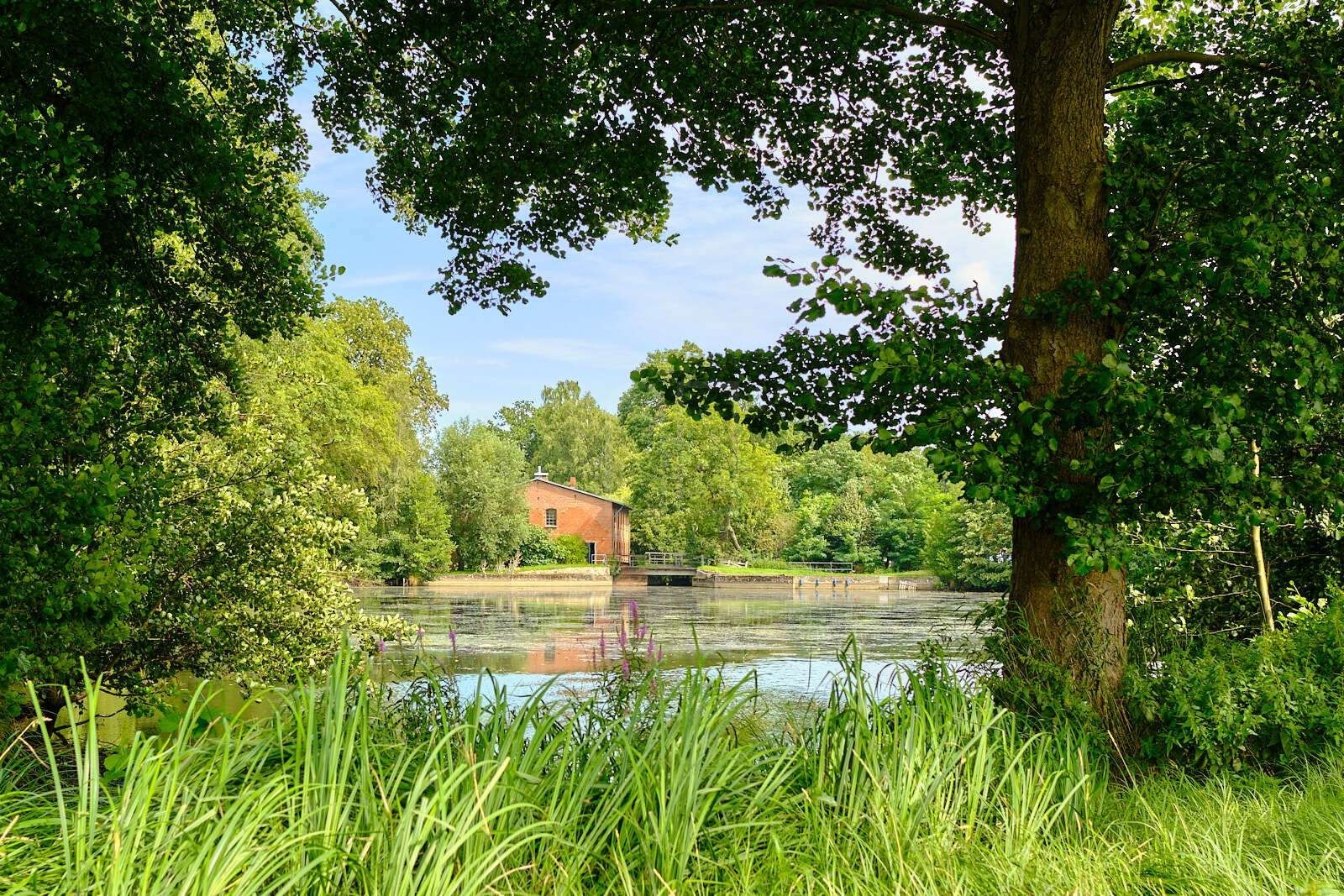 29451 Dannenberg, Lower Saxony for sale