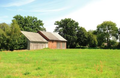 Mill for sale 29451 Dannenberg, Lower Saxony, Die Scheune mit Baugenehmigung
