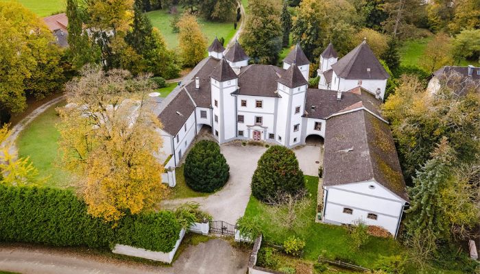 Castle for sale 4693 Desselbrunn, Upper Austria,  Austria