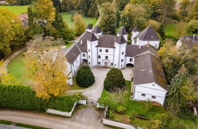 Castle for sale 4693 Desselbrunn, Upper Austria, Image 2/22