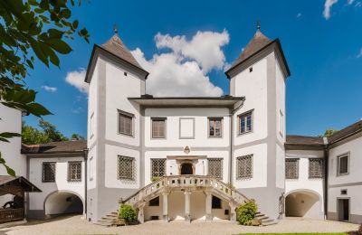 Castle for sale 4693 Desselbrunn, Upper Austria, Die Nordostansicht