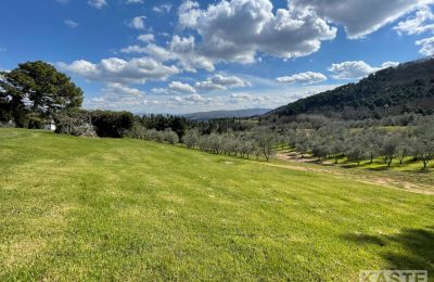 Country home for sale Rivalto, Tuscany, View