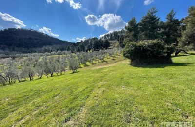 Country home for sale Rivalto, Tuscany, Property