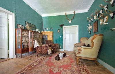 Manor House for sale 19386 Kreien, Rosenstraße 32, Mecklenburg-West Pomerania, Living Area