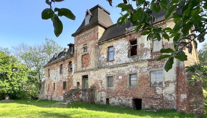 Castle for sale Komorowice, Lower Silesia