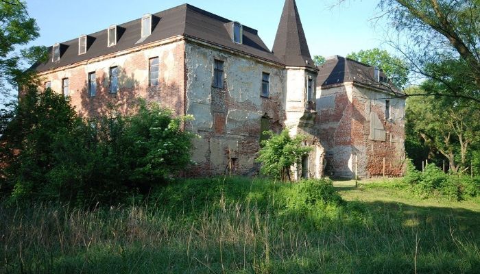Castle for sale Komorowice, Lower Silesia