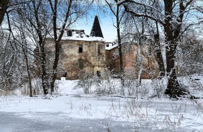 Castle for sale Komorowice, Wrocławska 27, Lower Silesia, Image 24/27