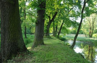 Castle for sale Komorowice, Wrocławska 27, Lower Silesia, Image 19/27