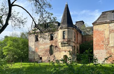 Castle for sale Komorowice, Wrocławska 27, Lower Silesia, Image 4/27